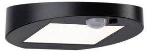 Paulmann 94246 - LED/1,2W IP44 Venkovní solární svítidlo se senzorem RYSE 3,7V