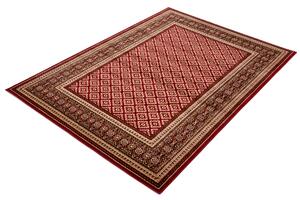 Kusový koberec Agnella Standard Apium Terakota Rozměr: 170x240 cm