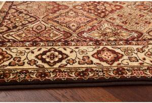 Kusový koberec Agnella Standard Bergenia Terakota Rozměr: 60x120 cm