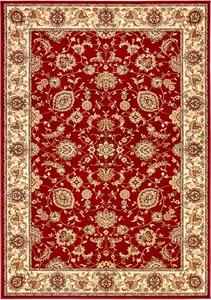 Kusový koberec Agnella Standard Nazar bordó Rozměr: 200x300 cm