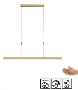 Paul Neuhaus 2568-60 - LED Stmívatelný lustr na lanku ADRIANA LED/14W/230V mosaz