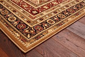 Kusový koberec Agnella Standard Remo tmavě hnědý Rozměr: 60x120 cm