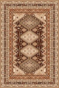Kusový koberec Agnella Standard Remo tmavě hnědý Rozměr: 300x400 cm