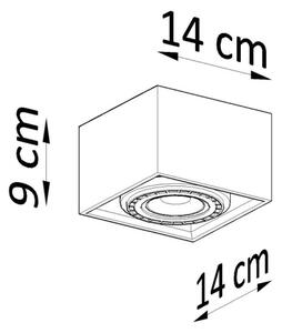 Sollux SL.0883 - Stropní svítidlo QUATRO 1xGU10/40W/230V beton