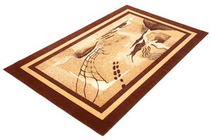 Kusový koberec Agnella Standard Ustronie hnědý Rozměr: 250x350 cm