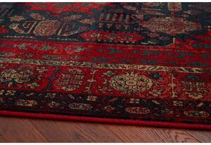 Kusový koberec vlněný Dywilan Omega Harun Navy Červený Rozměr: 300x400 cm