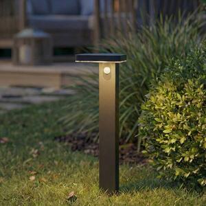 PRIOS LED osvětlení cesty Tarlson, hranatá, antracitová, senzor, Černá, Plast, Moderní, Solární lampy