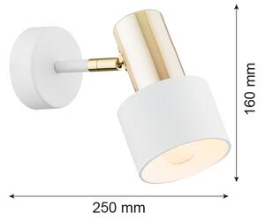 Argon 4264 - Nástěnné bodové svítidlo DORIA 1xE27/15W/230V bílá/mosaz