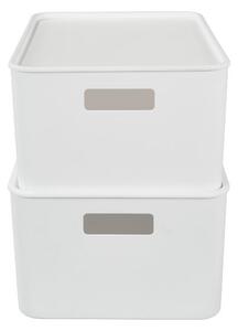 Úložný box s víkem, 10,4 l, 2 kusy (100406334)