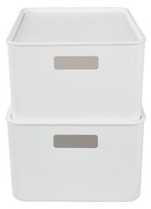 Úložný box s víkem, 10,4 l, 2 kusy (100406334)