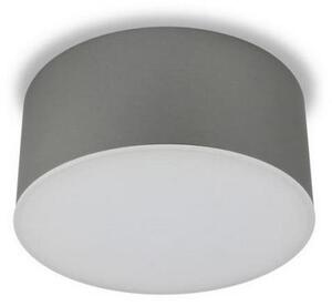LED2 - LED Stropní svítidlo BUTTON LED/17W/230V stříbrná