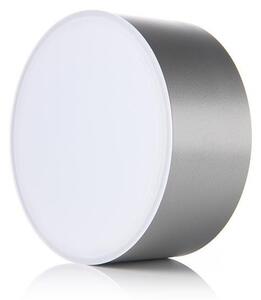 LED2 - LED Stropní svítidlo BUTTON LED/17W/230V stříbrná