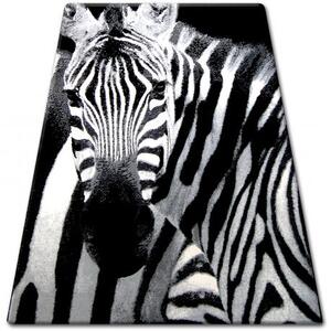 Kusový koberec BCF FLASH 33302/190 Zebra černý bílý Rozměr: 120x170 cm