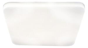 Rabalux - LED Stropní svítidlo LED/24W/230V