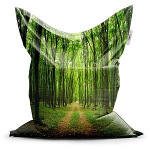 Sablio Sedací vak Classic Cesta v lese - 150x100 cm