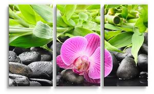 Sablio Obraz - 3-dílný Růžová orchidej - 120x80 cm