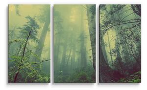 Sablio Obraz - 3-dílný Temný les - 120x80 cm
