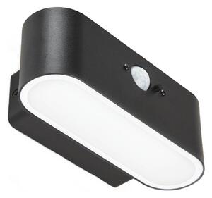 LED Solární nástěnné svítidlo se senzorem SOLARIS2 LED/2,5W/3,7V 4000K IP44