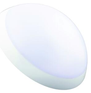 Fulgur 20994 - Technické stropní svítidlo ROMANA 1xE27/100W/230V IP64