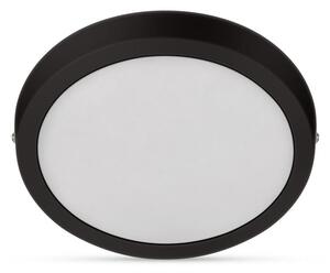 Philips - LED Stropní svítidlo MAGNEOS LED/12W/230V 2700K černá