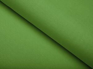 Biante Dekorační oválný ubrus Leona LN-099 Zelený žíhaný 60x100 cm