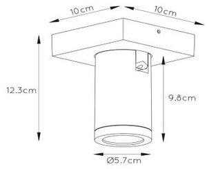 Lucide 09930/05/31 - LED Stmívatelné bodové svítidlo TAYLOR 1xGU10/5W/230V IP44