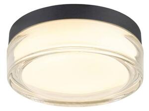 BIG WHITE SLV CYFT XL Přisazené nástěnné a stropní svítidlo, 2700/3000/4000 K, 15 W, PHASE, 125°, IP65 černá / čirá 1010210