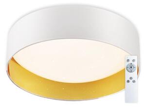 Top Light - LED Stmívatelné stropní svítidlo LED/24W/230V +dálkové ovládání bílá