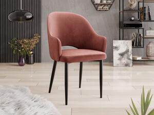 Čalouněná jídelní židle Dazja, Potah: Magic Velvet 2258, Barva dřeva: černá 5903211334405