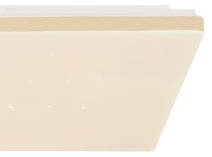 Globo 48025WSH - LED Stmívatelné stropní svítidlo LED/24W/230V Wi-Fi Tuya + DO