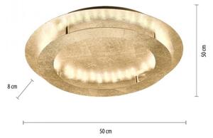 Paul Neuhaus 9621-12 - LED Stropní svítidlo NEVIS LED/24W/230V
