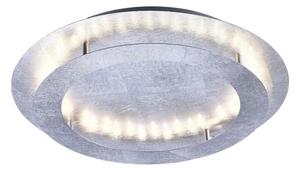Paul Neuhaus 9621-21 - LED Stropní svítidlo NEVIS LED/24W/230V
