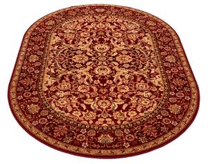 Oválný vlněný koberec Agnella Agnus Stolnik Rubín Rozměr: 170x240 cm