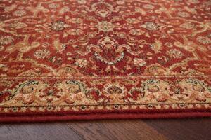Oválný vlněný koberec Agnella Agnus Rejent Rubín Rozměr: 170x240 cm