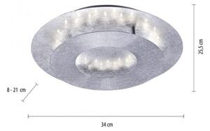 Paul Neuhaus 9011-21 - LED Stropní svítidlo NEVIS LED/6W/230V stříbrná