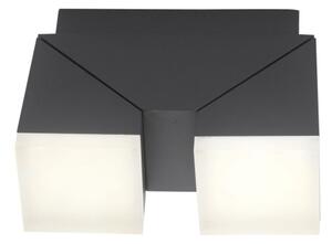 Paul Neuhaus 9722-13 - LED Venkovní nástěnné svítidlo RYAN 2xLED/5W/230V IP54
