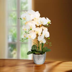 Gasper Umělá květina Orchidej s 12 LED, krémová, 72 cm