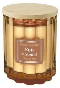 Esprit Provence Santalové dřevo Vonná svíčka, 100 g