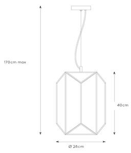 Lucide 25407/01/30 - Lustr na lanku FERN 1xE27/60W/230V