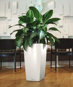 Samozavlažovací květináč Cubico Premium Alto průměr 40 cm, výška 105 cm, antracit +