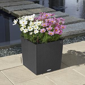 Samozavlažovací květináč Cube Cottage 50 cm, černá +