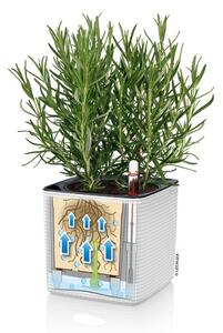 Samozavlažovací květináč Cube Color, průměr 14 cm, antracitová