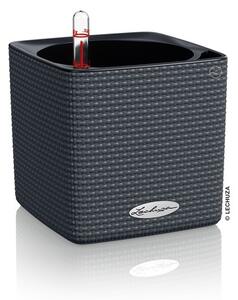 Samozavlažovací květináč Cube Color, průměr 14 cm, antracit