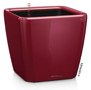 Samozavlažovací květináč Quadro LS Premium, průměr 50 cm, červená +