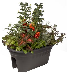 ELHO Truhlík Green Basics Flower Bridge 55 cm, černá