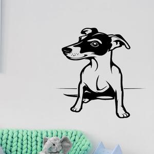 Živá Zeď Samolepka Pes Jack Russell Terrier Barva: černá