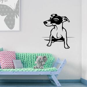 Živá Zeď Samolepka Pes Jack Russell Terrier Barva: černá