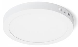 RED - Design Rendl - R12973 - LED Stropní svítidlo SOCORRO LED/24W/230V