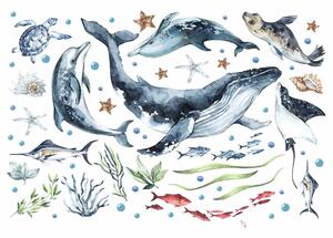 Dětská nálepka na zeď Ocean - velryba, delfíni, želva a tuleň