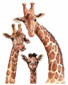 Dětská nálepka na zeď Giraffes - rodina žiráf Rozměry: L